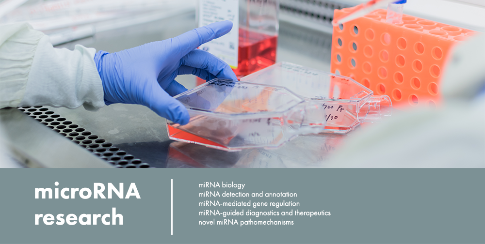 Renwick Lab - microRNA Research 