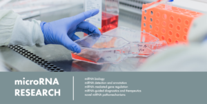 Renwick Lab